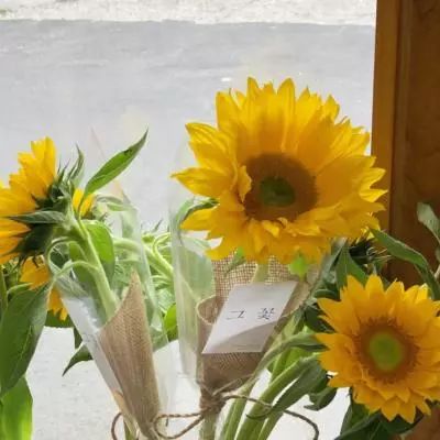 2023澳门管家婆资料正版大全手机app下载